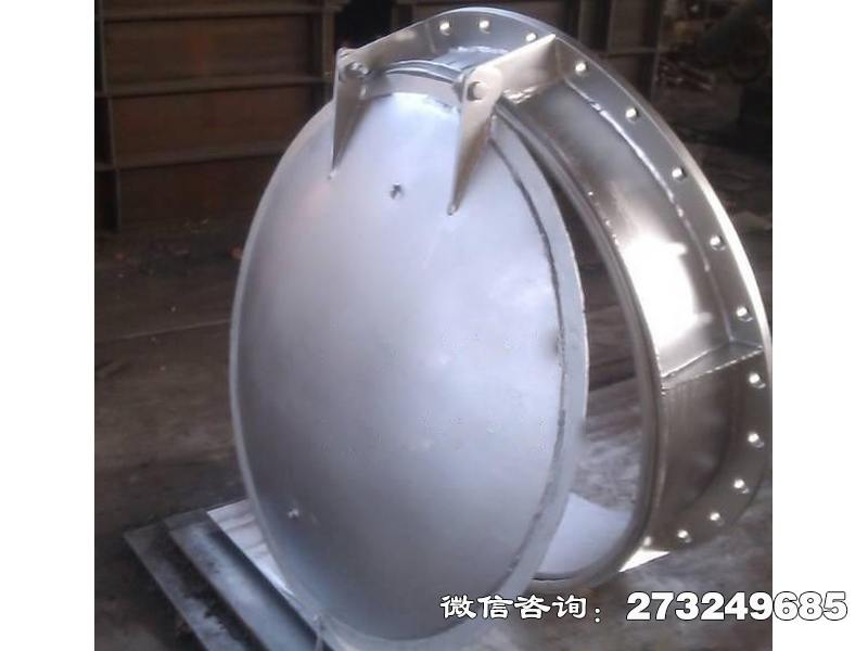东兰县800不锈钢拍门