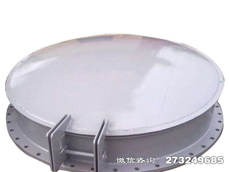 永定县铸铁钢制拍门