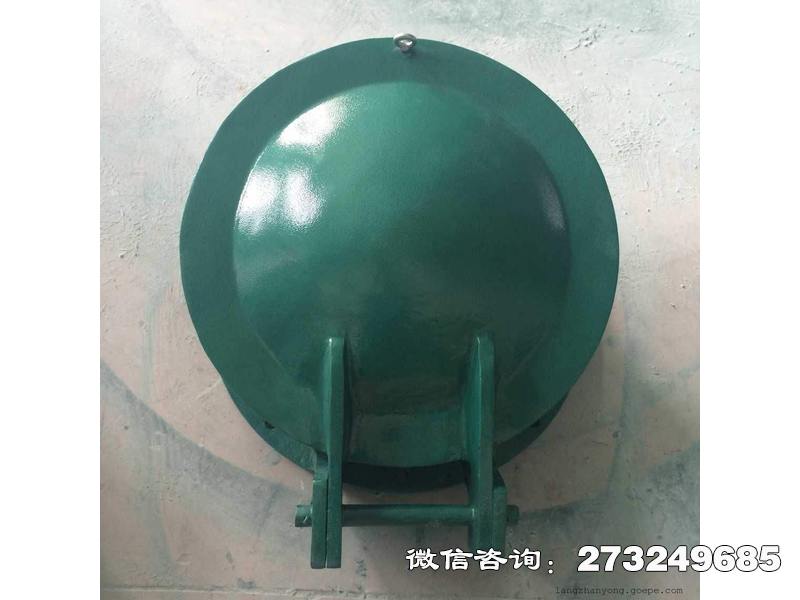 水城县玻璃钢圆形拍门